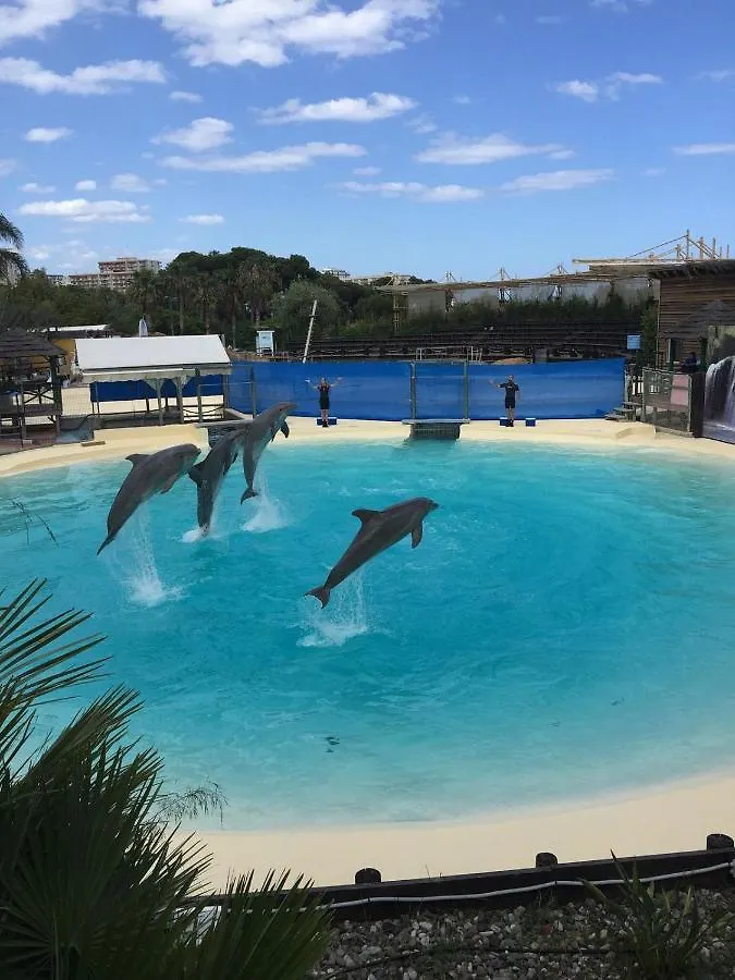 Sunny Apartment Aquario Benalmadena Spain